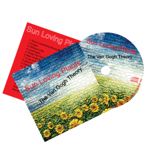 printed card wallet, printed card sleeve, printed paper wallet, printed paper sleeve, disc, CD, DVD. USB, Audio, Cassette, music, duplication, replication, copying, printing